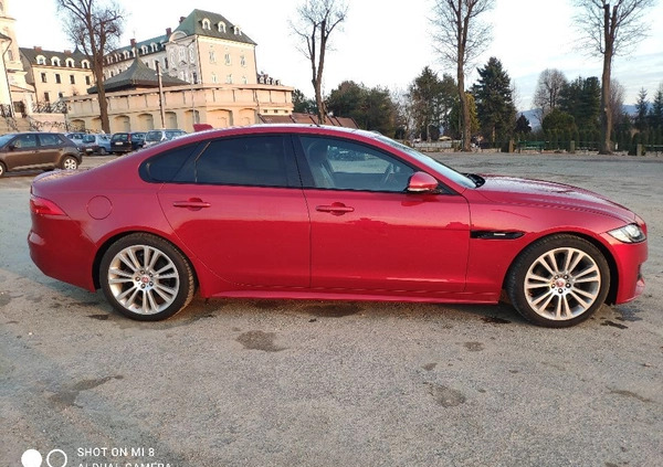 Jaguar XF cena 73900 przebieg: 131000, rok produkcji 2015 z Tuchów małe 37